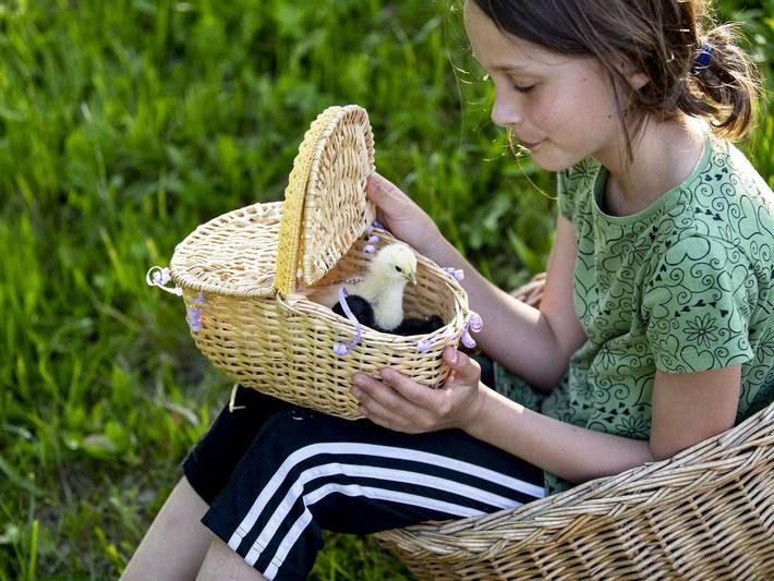 Ferienhaus für 4 Personen, mit Terrasse und Garten, kinderfreundlich in Murau - 3