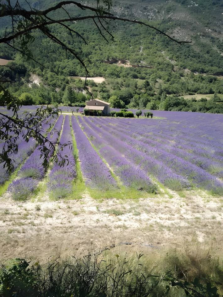 Wohnwagen für 4 Personen in Drôme