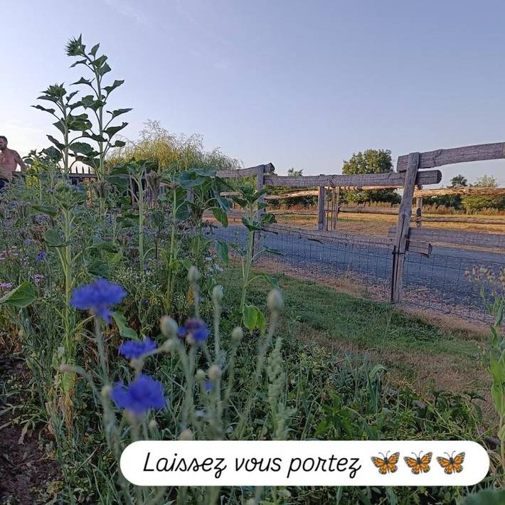 Location de vacances pour 9 personnes, avec piscine ainsi que jardin et vue à Thorigny - 2