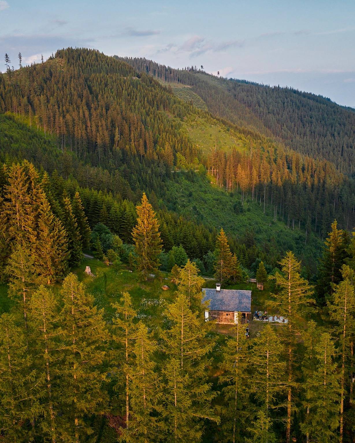 Ganze Ferienwohnung, Waldhütte Kosak in Trofaiach, Hochsteiermark