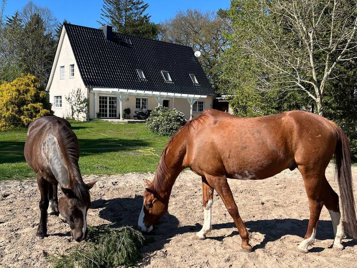 Ferienwohnung für 3 Personen, mit Garten in Worpswede - 4