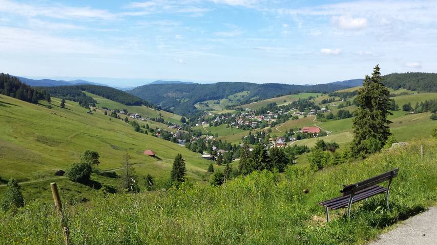 Ganze Wohnung, Apartment 1 im Bühlhof in Todtnauberg in Todtnauberg (Todtnau), Todtnau