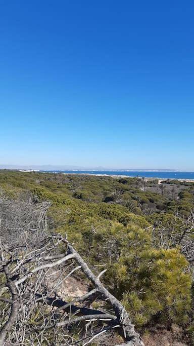 Gîte pour 2 personnes, avec balcon, animaux acceptés dans La Marina - 4