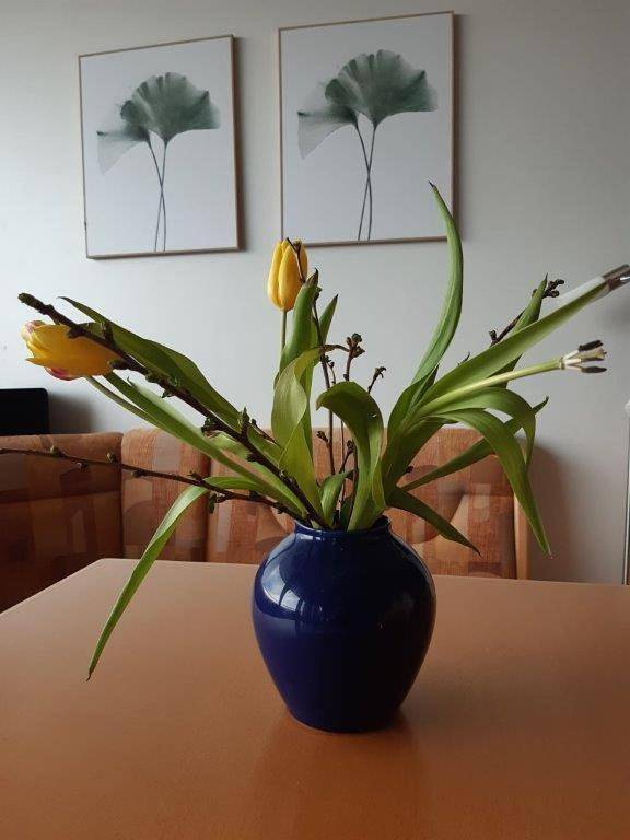 Ganze Wohnung, Apartment - Ground Floor in Oberteuringen, Region Bodensee-Oberschwaben