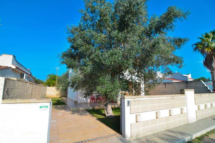 Ferienhaus für 5 Personen, mit Garten und Pool sowie Terrasse, mit Haustier in Torre Colimena - 3