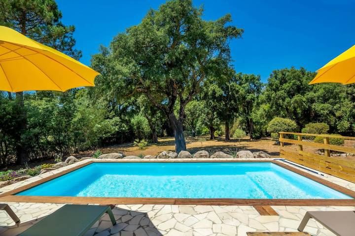Gîte pour 6 personnes, avec Terrasse ainsi que Jardin et Piscine à San-Gavino-di-Carbini - 3