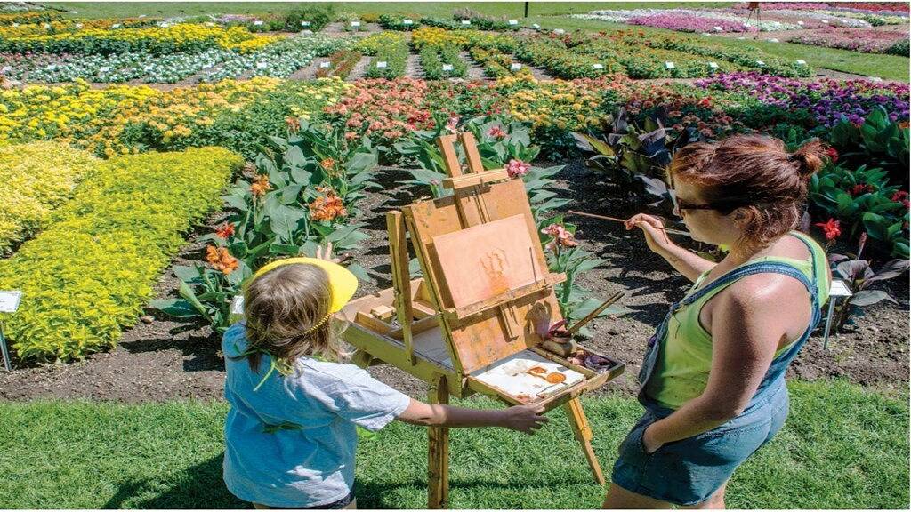 Spazieren Sie zum Campus oder zu Restaurants in der Altstadt! in Fort Collins, Larimer County