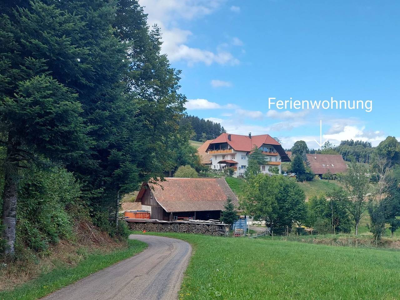 Dischhof - Ferienwohnung 90qm, 3 Schlafzimmer, max. 7 Pers. , 1 - 7 Personen in Biederbach, Südschwarzwald