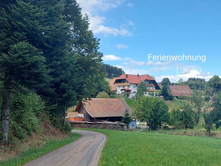 Ferienhaus für 7 Personen, mit Balkon und Terrasse in Suedlicher Schwarzwald - 2