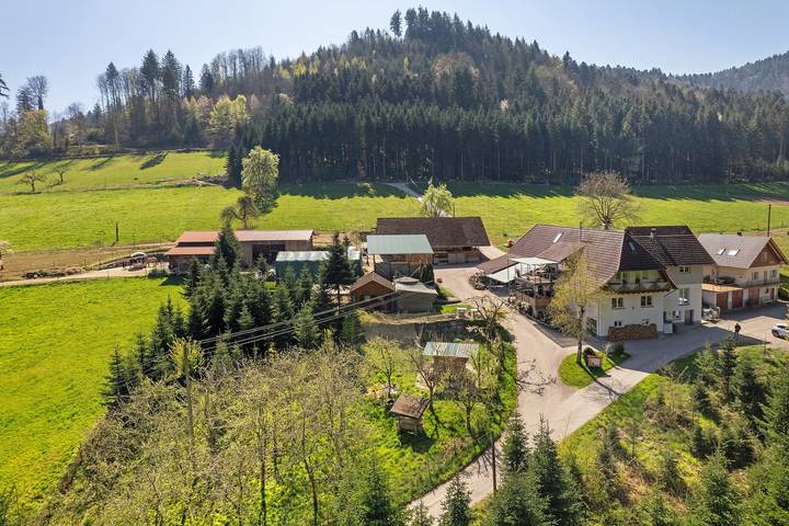 Ganze Wohnung, Ferienwohnung 1" mit Bergblick, gemeinsamer Terrasse und Wlan in Haslach im Kinzigtal, Kinzigtal