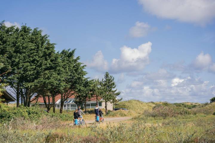 Bungalow für 12 Personen, mit Terrasse und Sauna sowie Garten auf Ameland - 2