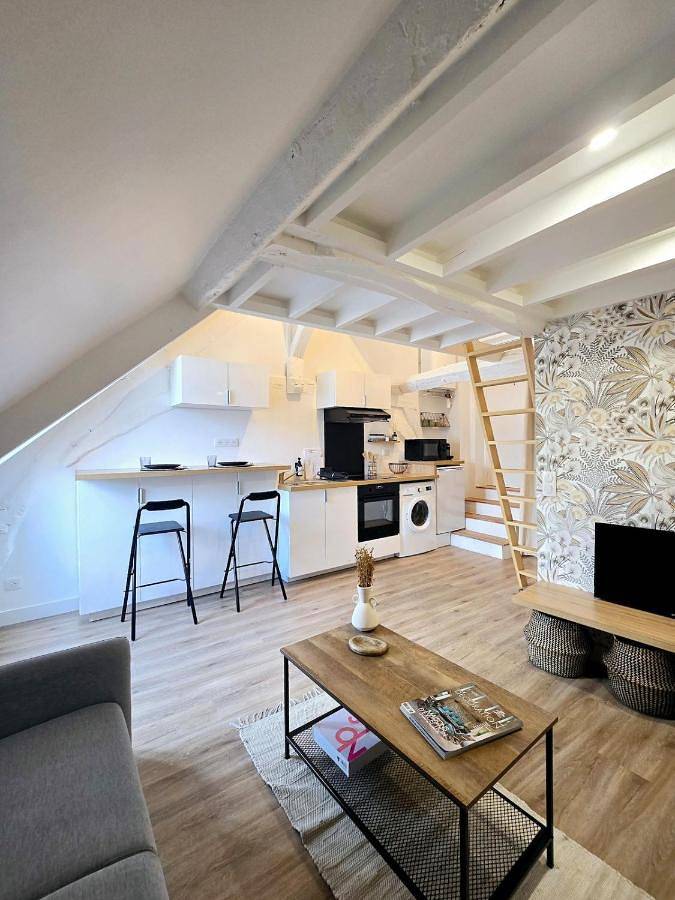 Appartement entier, One-Bedroom Apartment in Pontoise, Val-d'Oise