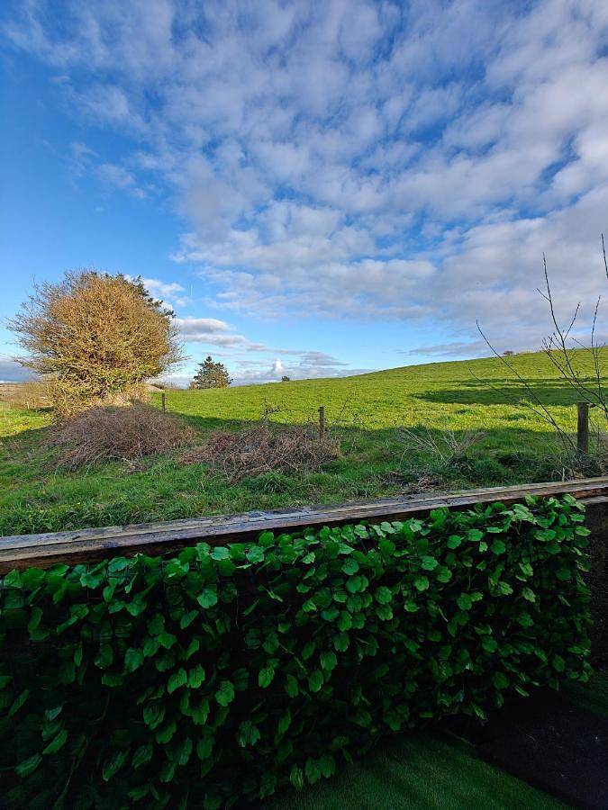Gîte pour 6 personnes, avec vue, animaux acceptés à Clonakilty - 4