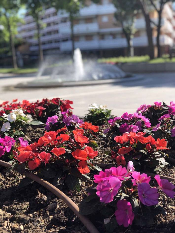 Ferienwohnung für 5 Personen, mit Balkon in Porto Santa Margherita - 3