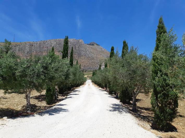 Location de vacances pour 12 personnes, avec piscine et vue ainsi que jardin et vue sur le lac à Erice - 3