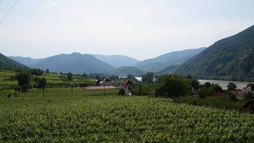 Ganze Wohnung, Weinbau und Gästezimmer Pammer - Doppelzimmer (16qm) mit Balkon in Rossatz-Arnsdorf, Bezirk Krems an der Donau-Land
