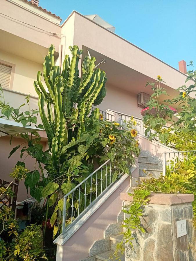 Gîte pour 2 personnes, avec vue et jardin, animaux acceptés à Castelsardo - 2