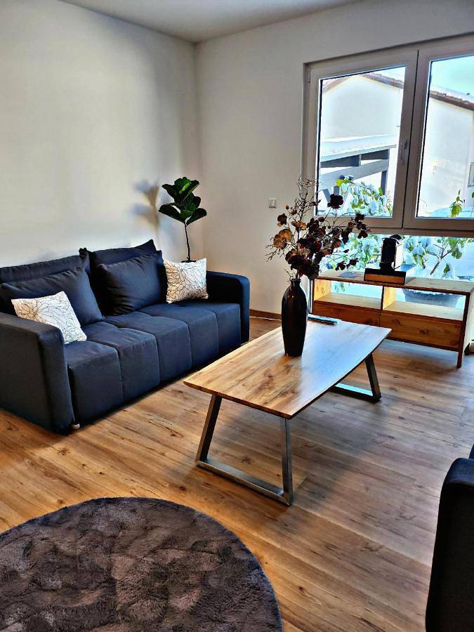 Appartement entier, Lions Place Premium Apartments Comfort optionaler Zugang zum Spa- Bereich in Heidenheim, Région de Stuttgart