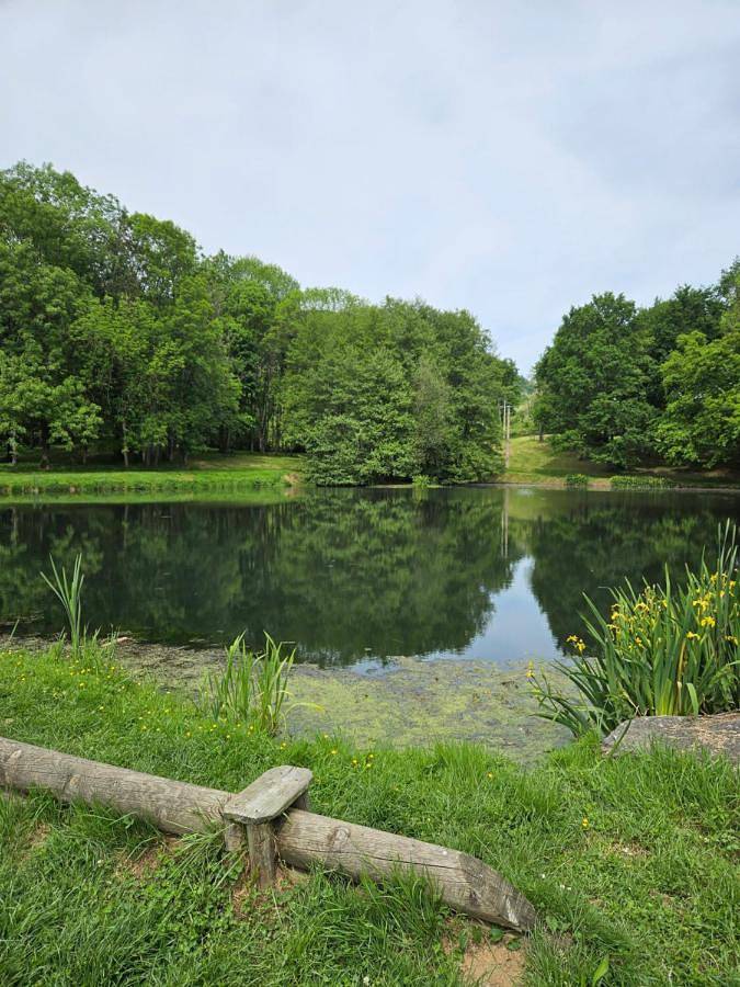 Location de vacances pour 5 personnes, avec terrasse à Serres-sur-Arget - 4
