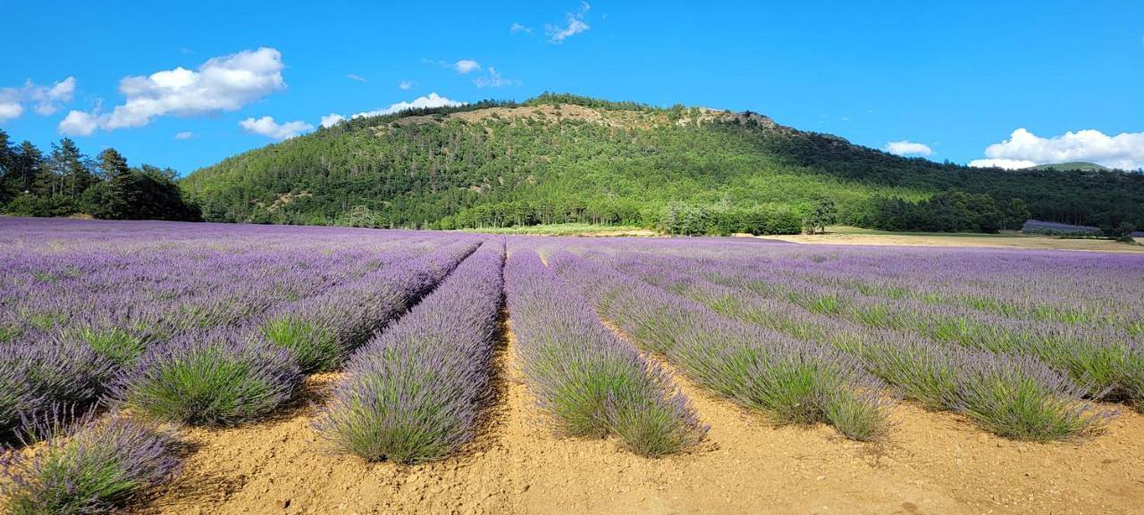 Le Jas de Volonne in Volonne, Région de Forcalquier