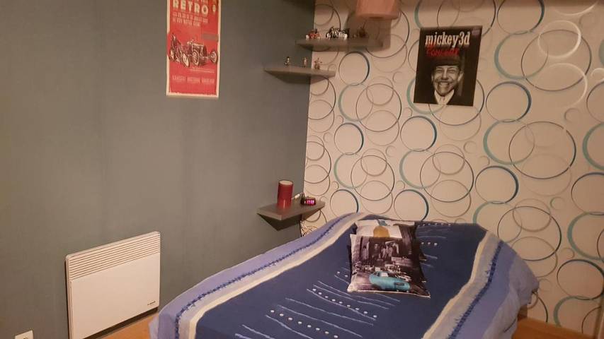 Gîte pour 3 personnes, animaux acceptés dans Bazouges Cré sur Loir - 2