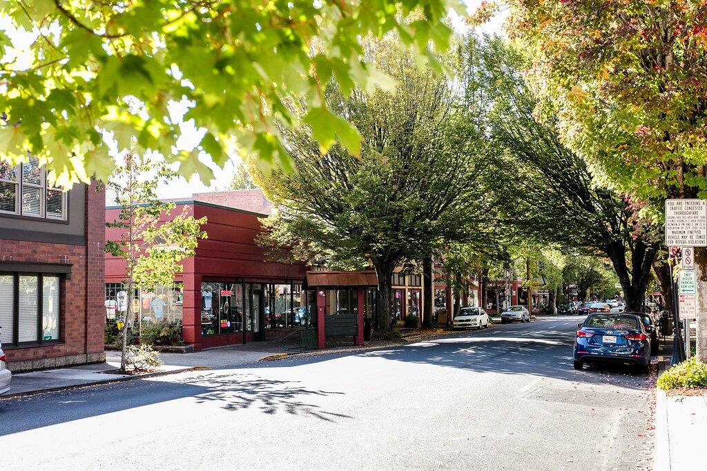 Ganze Wohnung, Ein Block von der Innenstadt Mcminnville! Moderne Rückzug! in McMinnville, Yamhill County