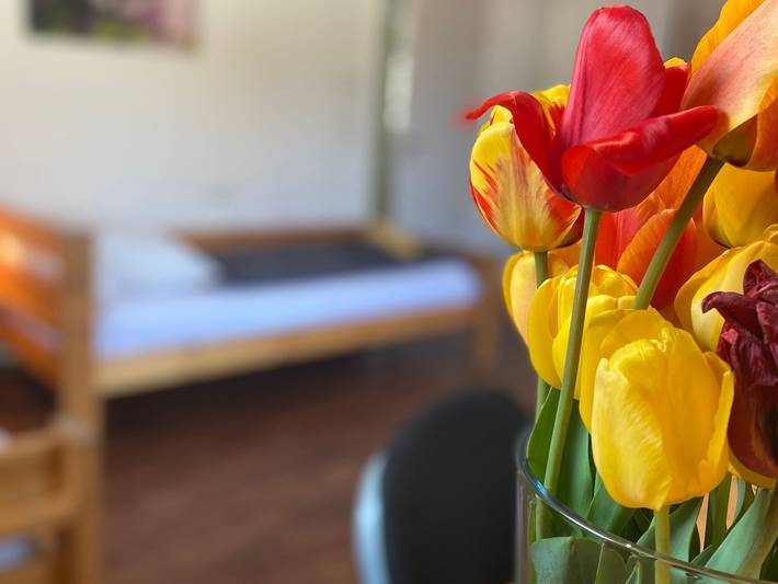 Villa 5 Sz Haus mit Wi-Fi u Terrasse zw. Freiburg u Frankrei - Haus mit 5 Sz in Freiburg - Munzingen, Freiburg