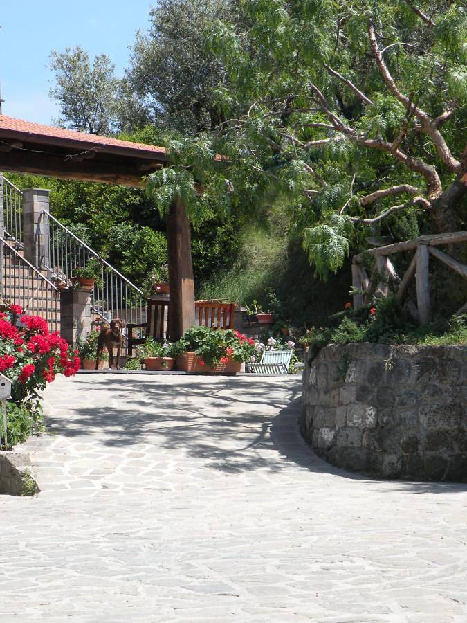 Agriturismo L'Olivara in Piano di Sorrento, Napoli e dintorni