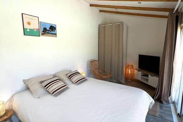Location de vacances pour 12 personnes, avec piscine à La Crau - 4