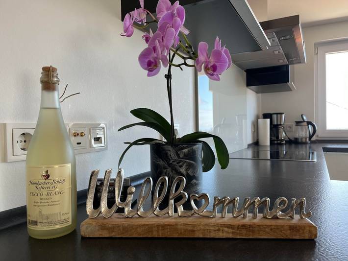 Ferienwohnung für 3 Personen, mit Balkon, kinderfreundlich in Hambach (Neustadt) - 2