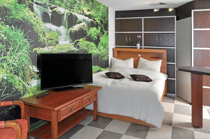 BnB für 2 Personen, mit Sauna und Garten im Harz - 4