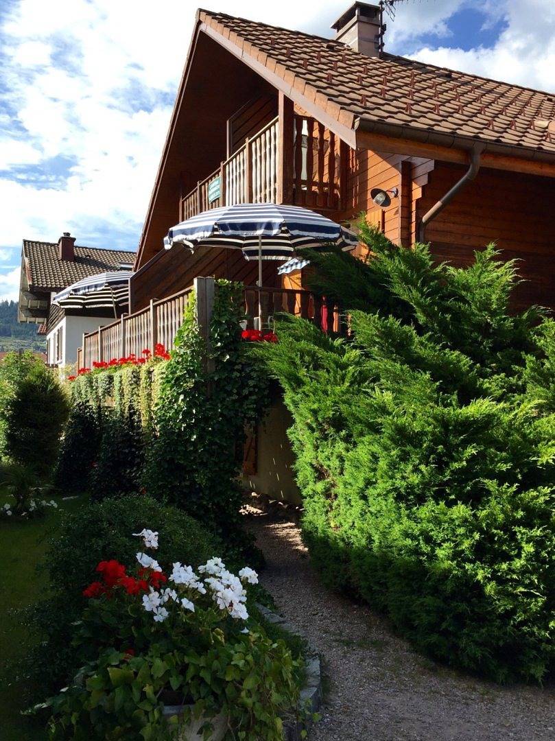 Appartement entier, Appartement 3* dans chalet, cour fermée, abri voiture in Gérardmer, Parc naturel régional des Ballons des Vosges