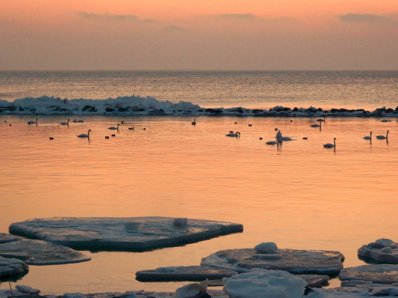 Ganze Ferienwohnung, Haus Havingblick - Having in Seedorf (Sellin), Sellin