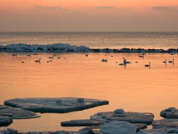 Ferienwohnung für 5 Personen in Seedorf (Sellin), Sellin, Bild 3