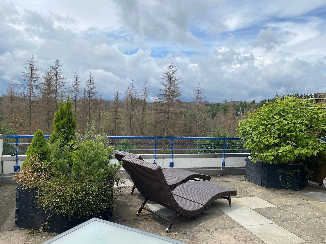 Apartamento vacacional entero, Ferienwohnung Harz #3, Pool, Sauna, Wlan in Hohegeiß, Harzvorland