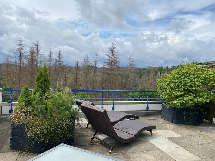 Ferienwohnung für 4 Personen, mit Terrasse und Pool sowie Sauna und Ausblick in Braunlage