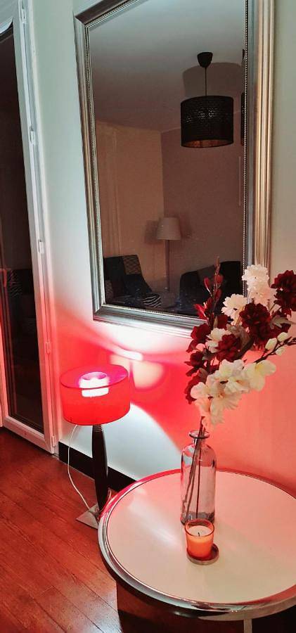 Villa pour 10 personnes, avec jardin et vue à Toulouse - 4