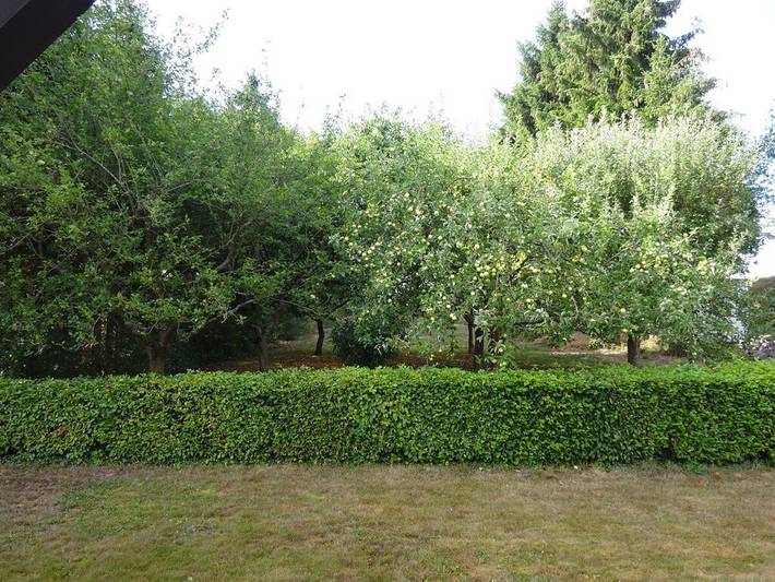 Ferienhaus für 2 Personen, mit Garten und Terrasse in Lahn-Taunus - 4