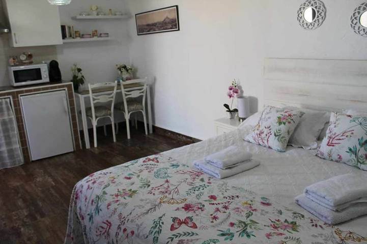 Apartamento entero, Apartamento 20 metros con terraza de 30 in Consuegra, La Mancha