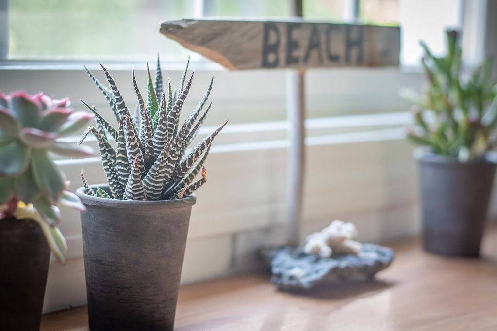 Ganze Wohnung, Sunny Secluded Super-cute Studio Near Topsail Island & Wilmington, Nc in Pender County