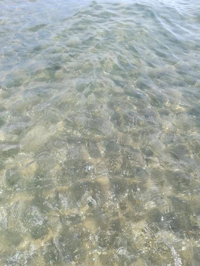 Lattanzio's Residence in Margherita di Savoia, Barletta-Andria-Trani