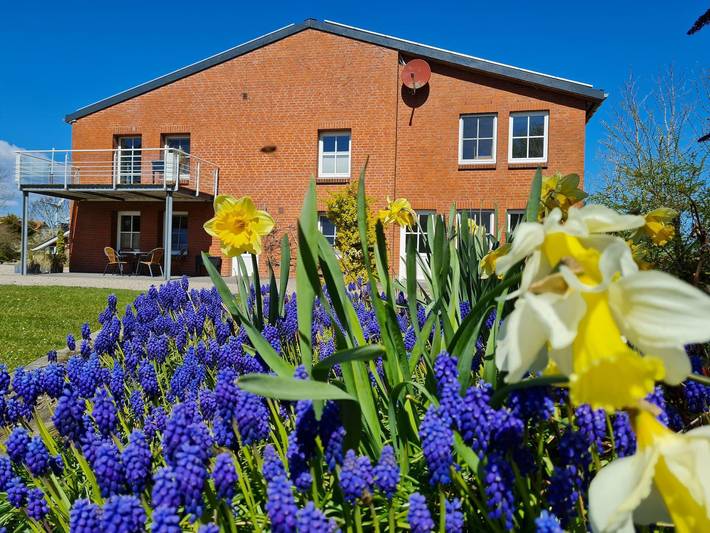 Ferienwohnung für 4 Personen, mit Terrasse und Garten sowie Sauna, mit Haustier in Presen