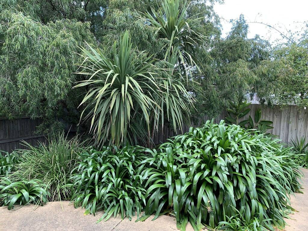 Kingston Downs - Schlaf 17 - ausschließlich Familien in Ocean Grove (Victoria), Bellarine