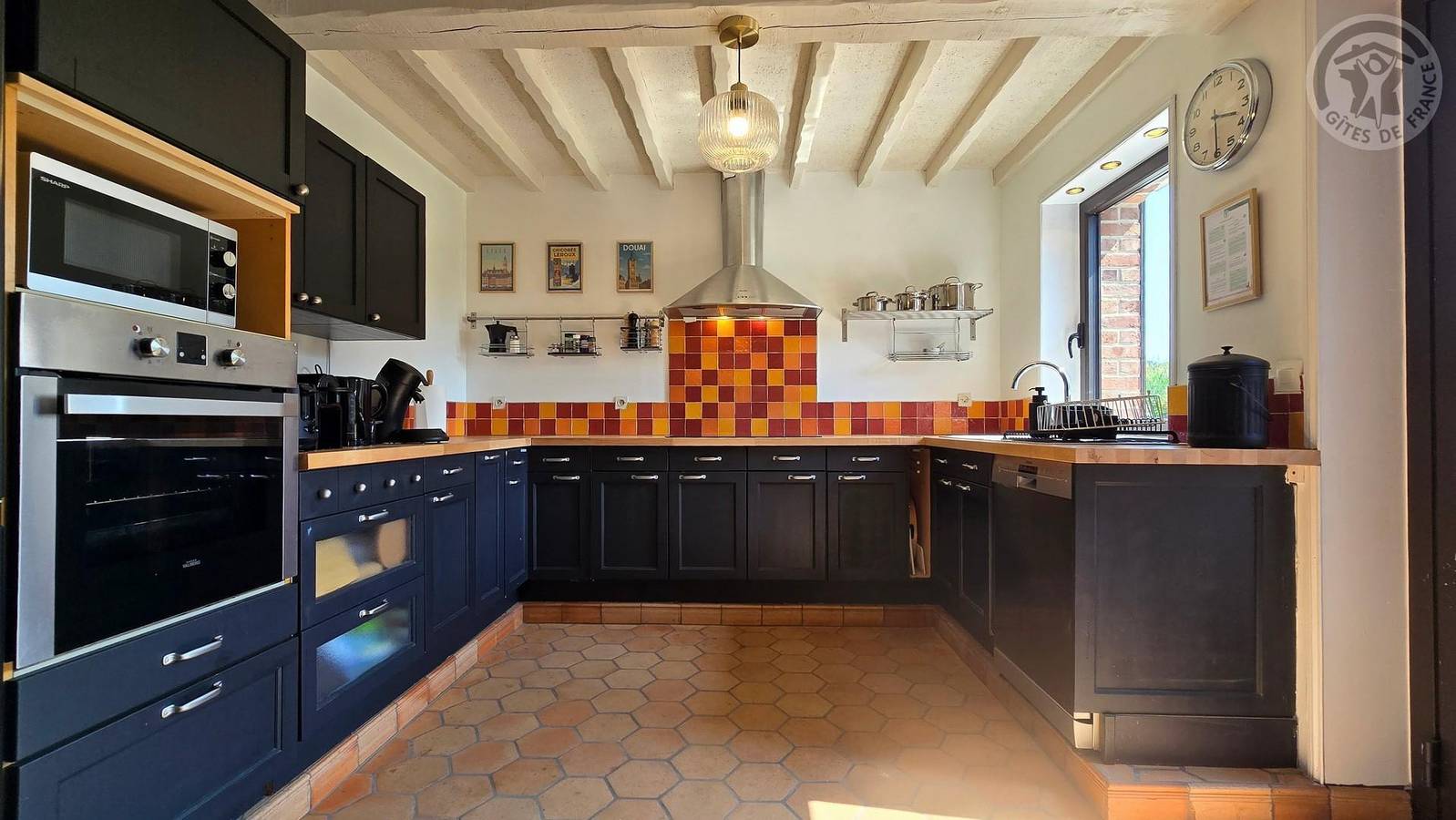 Oiseaux de paradis in Coutiches, Norte (Francia)