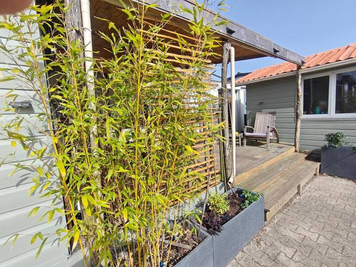 Gîte pour 4 personnes, avec terrasse et piscine dans Plage de La Hume - 3