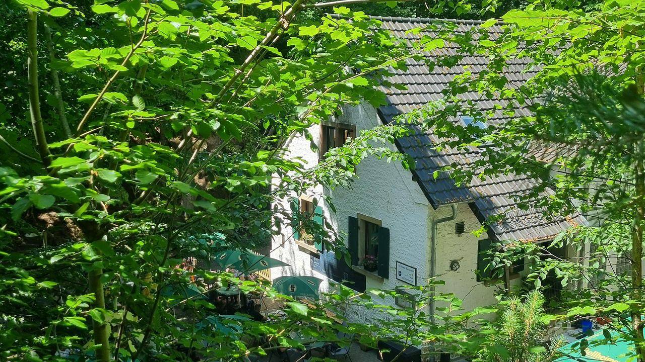 Ganze Ferienwohnung, Ferienwohnung für 4 Personen (70 m²) in Neustadt in Deidesheim, Deutsche Weinstraße