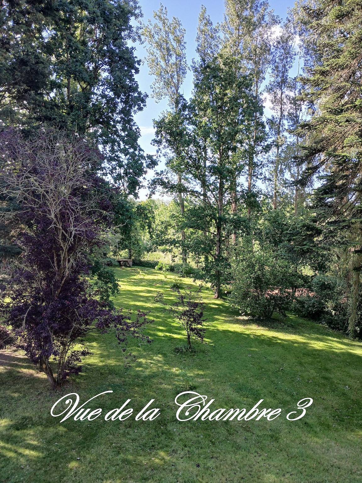 Bed & Breakfast 'Le Manoir Du Tertre' met gedeeld terras, tuin en wifi, foto 8