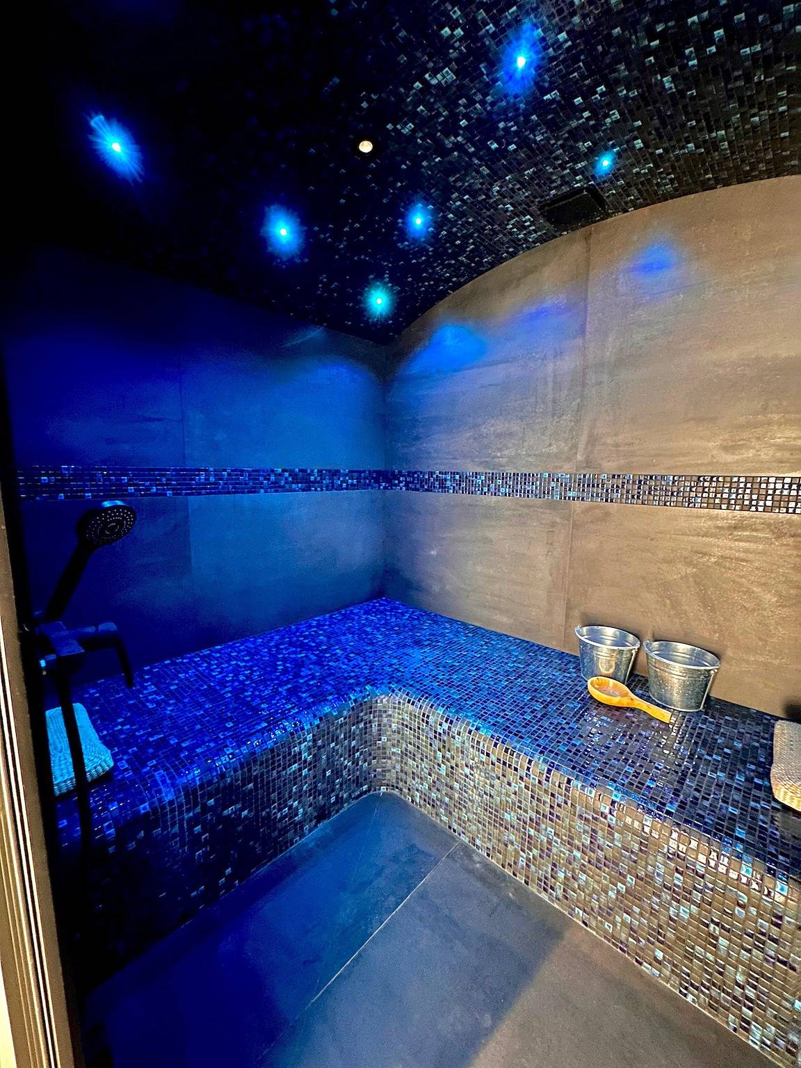 Chambre d’hôtes 'Suite Hortensia Hammam Et Piscine' con terraza y Wi-Fi in Breuil-Barret, Terval