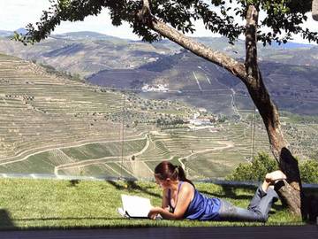 Glamping voor 9 Personen in Provesende, Gouvães do Douro e São Cristóvão do Douro, Vila Real District, Afbeelding 4