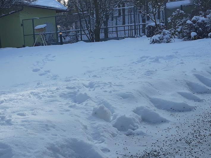Ferienwohnung für 8 Personen, mit Balkon und Garten, kinderfreundlich in Obertrubach - 3